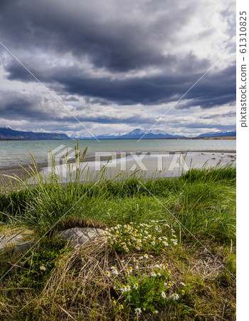 Puerto Natales in Patagonia, Chile Puerto Natales in Patagonia, Chile 61310825