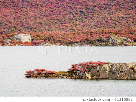 Capri Lagoon in Patagonia, Argentina Capri Lagoon in Patagonia, Argentina 61310892