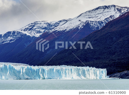 Perito Moreno Glacier in Patagonia, Argentina Perito Moreno Glacier in Patagonia, Argentina 61310900