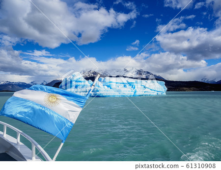 Icebergs on Lake Argentino in Los Glaciares Icebergs on Lake Argentino in Los Glaciares 61310908