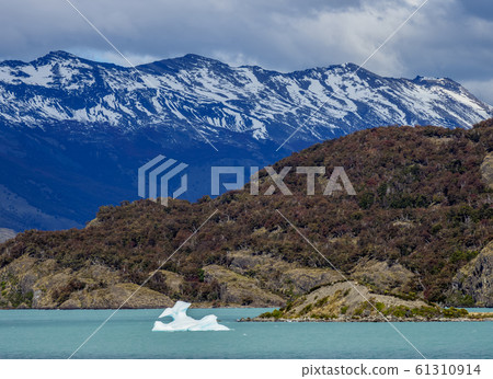 Icebergs on Lake Argentino in Los Glaciares 61310914