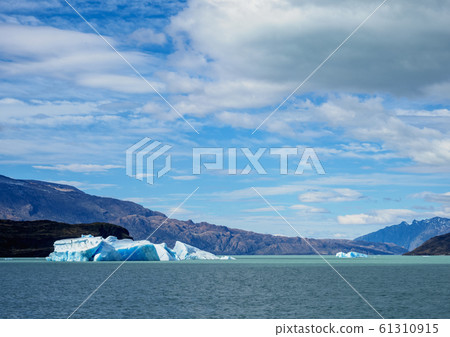 Icebergs on Lake Argentino in Los Glaciares Icebergs on Lake Argentino in Los Glaciares 61310915