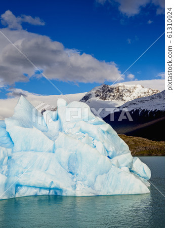 Icebergs on Lake Argentino in Los Glaciares Icebergs on Lake Argentino in Los Glaciares 61310924