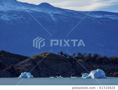 Icebergs on Lake Argentino in Los Glaciares 61310928