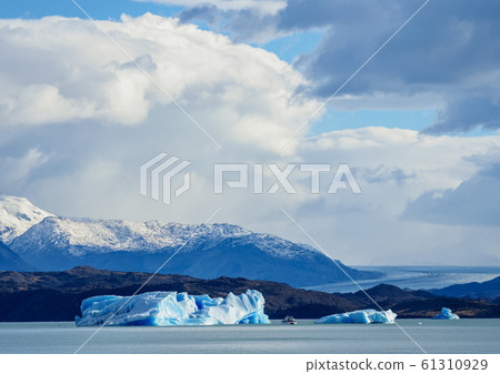 Icebergs on Lake Argentino in Los Glaciares 61310929