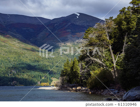 Gutierrez Lake, Nahuel Huapi National Park in Gutierrez Lake, Nahuel Huapi National Park in 61310946