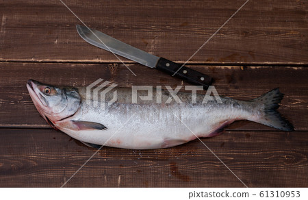 Pink salmon fish - raw. Pink salmon fish - raw. 61310953