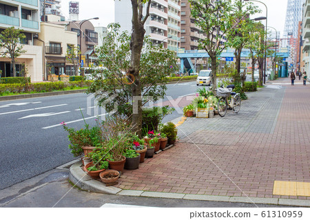 Pots with plants on streets of Tokyo - Asakusa Pots with plants on streets of Tokyo - Asakusa 61310959