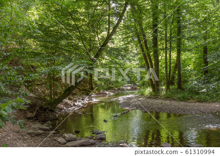 Elzbach water stream and forest in Germany 61310994