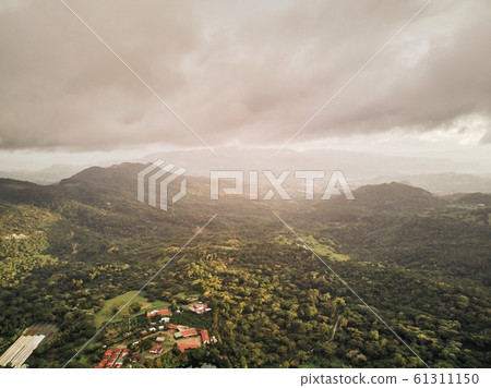 Big coffee farm on green mountain valley 61311150