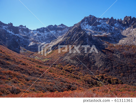 Nahuel Huapi National Park in Argentina Nahuel Huapi National Park in Argentina 61311361