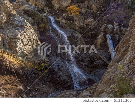 Nahuel Huapi National Park in Argentina Nahuel Huapi National Park in Argentina 61311363