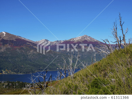 Gutierrez Lake, Nahuel Huapi National Park in Gutierrez Lake, Nahuel Huapi National Park in 61311366