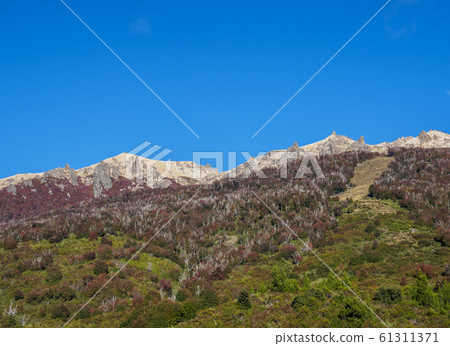 Nahuel Huapi National Park in Argentina Nahuel Huapi National Park in Argentina 61311371