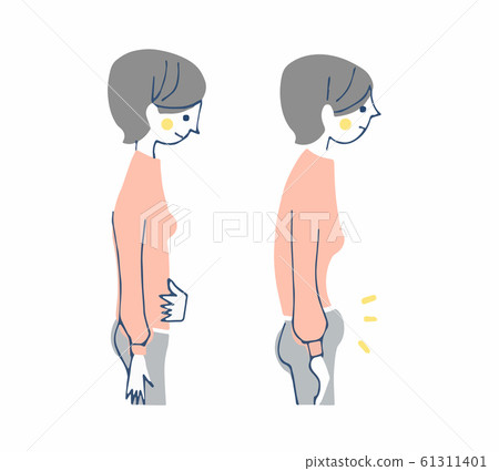 Plump stomach and refreshing stomach Plump stomach and refreshing stomach 61311401