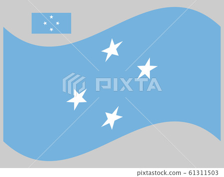 Wave Federated States of Micronesia Flag Vector 61311503