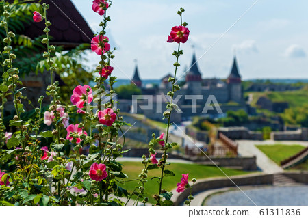 The beautiful view on the medieval stone fortress 61311836