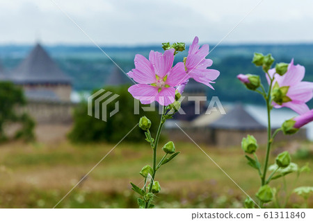 Khotyn fortress Khotyn fortress 61311840