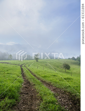 Salento in Colombia 61311894