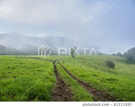 Salento in Colombia 61311895