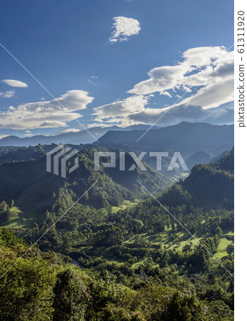 Salento in Colombia 61311920