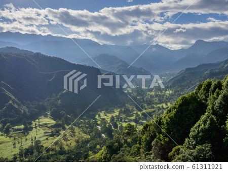 Salento in Colombia 61311921