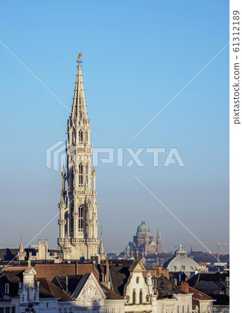 Brussels in Belgium 61312189