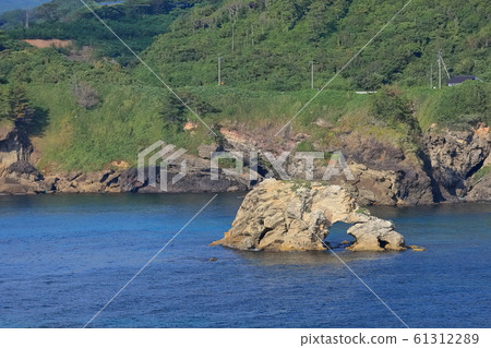 [石川縣]能登半島，關之花的景色 61312289