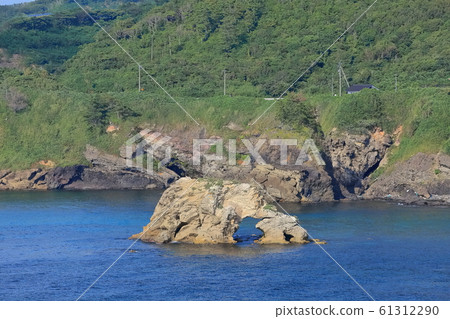[石川縣]能登半島，關之花的景色 61312290