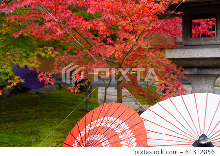 在京都東山區東福寺的正林寺拍攝的秋葉 61312856