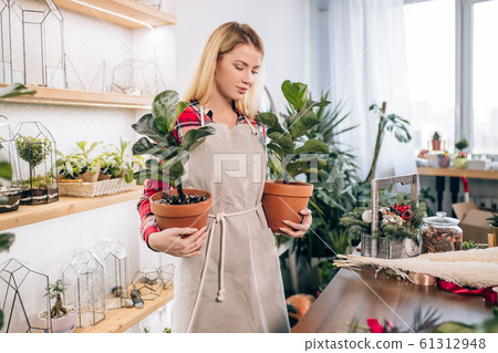 good-looking lady with plants in pot good-looking lady with plants in pot 61312948