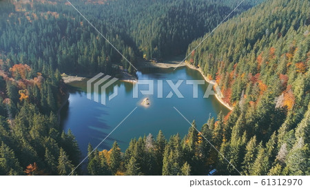 picturesque calm lake reflecting green tree silhouettes picturesque calm lake reflecting green tree silhouettes 61312970