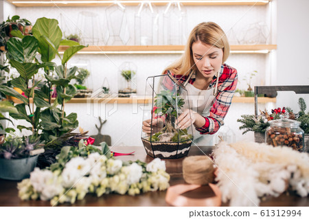 flowers lover, young florist woman look after and take care of plants 61312994