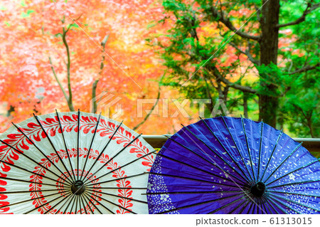 在京都東山區東福寺的正林寺拍攝的秋葉 在京都東山區東福寺的正林寺拍攝的秋葉 61313015