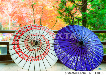 在京都東山區東福寺的正林寺拍攝的秋葉 61313016