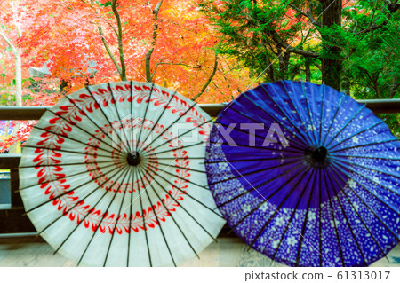 在京都東山區東福寺的正林寺拍攝的秋葉 在京都東山區東福寺的正林寺拍攝的秋葉 61313017