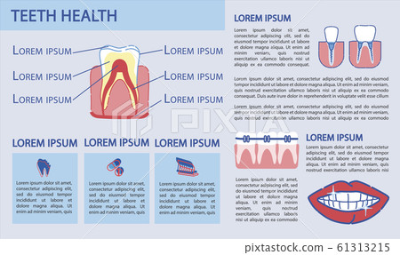 Flat Illustration Inscription Teeth Health, Slide. Flat Illustration Inscription Teeth Health, Slide. 61313215