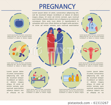 Vector Illustration Late Pregnancy, Infographic. 61313267