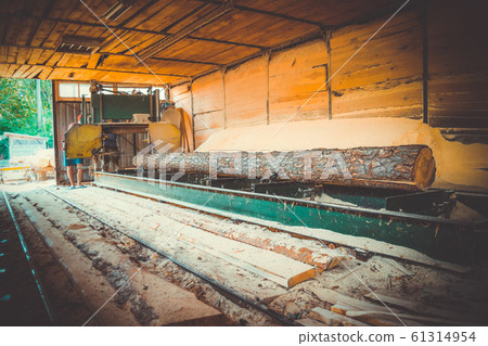 Sawmill. Process of machining logs in sawmill machine saws the tree trunk 61314954