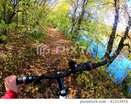 Girl rides bicycle through forest. Girl rides bike along path in forest 61314958