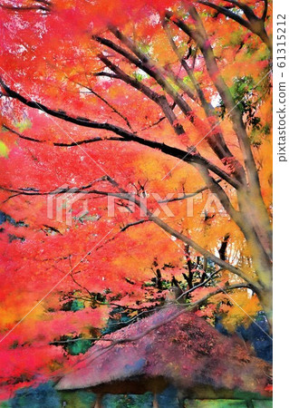 小石川後樂園。秋天的落葉和丸也。什葉（12月）東京文京區 61315212