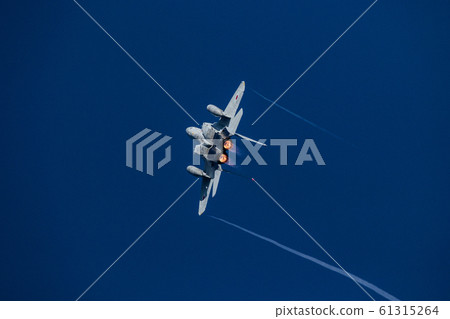 303 Squadron F-15 61315264