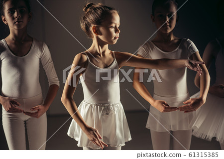 Young happy little ballerinas in a dance class 61315385