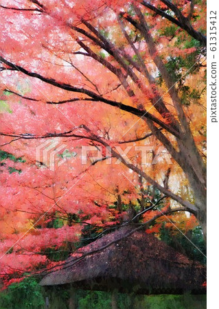 小石川後樂園。秋天的落葉和丸也。什葉(12月)東京文京區 小石川後樂園。秋天的落葉和丸也。什葉(12月)東京文京區 61315412