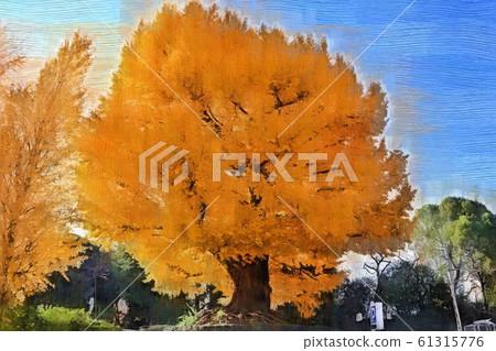 Autumn leaves of large ginkgo at Kitanomaru Park (December) Chiyoda-ku, Tokyo 61315776