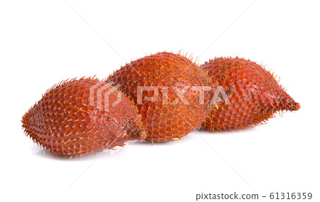 Salak fruit, Salacca zalacca an isolated on the Salak fruit, Salacca zalacca an isolated on the 61316359