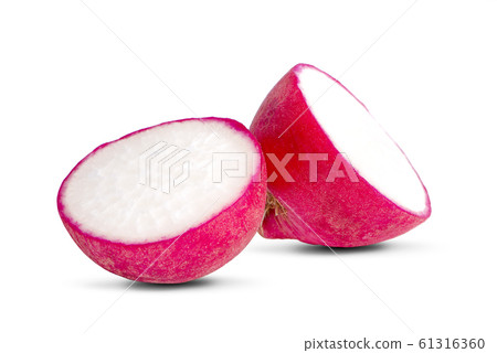 Small garden radish an isolated on white Small garden radish an isolated on white 61316360