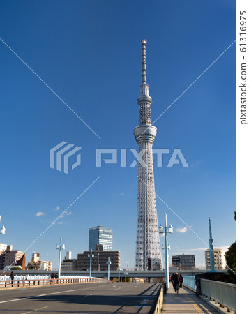 Tokyo Sky Tree seen from the bridge 61316975