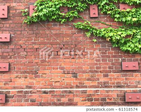 Ivy and red brick Ivy and red brick 61318574