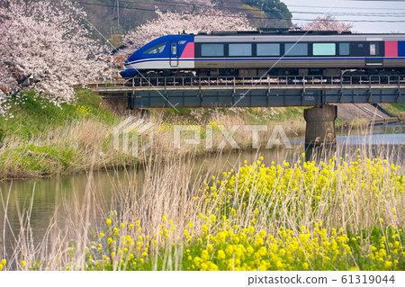 A supermarket full of spring 61319044